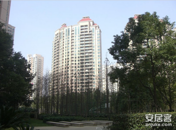 芙蓉江路388弄(仁恒河濱花園) 芙蓉江路388弄(仁恒河濱花園)